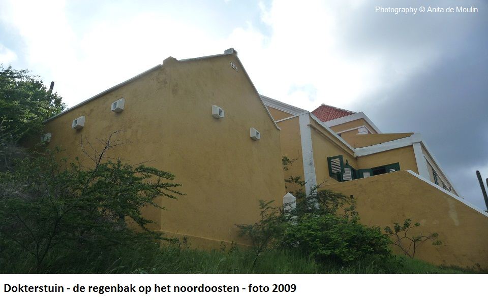 14. Dokterstuin regenbak op noordoosten 2009